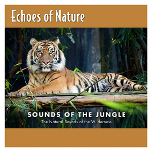 欧美亚洲精品综合久久
